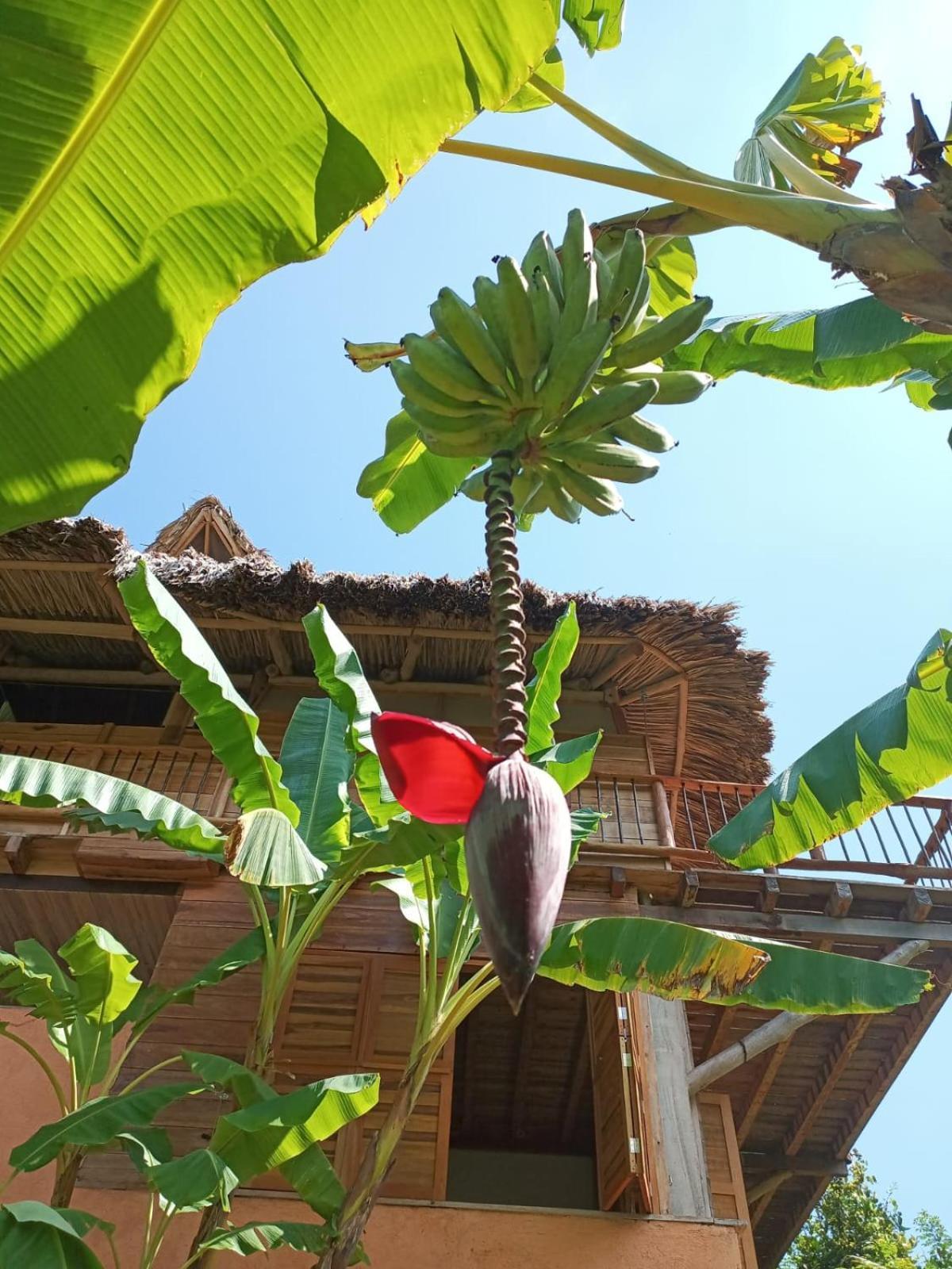 Frana Lodge เอลไซโน ภายนอก รูปภาพ